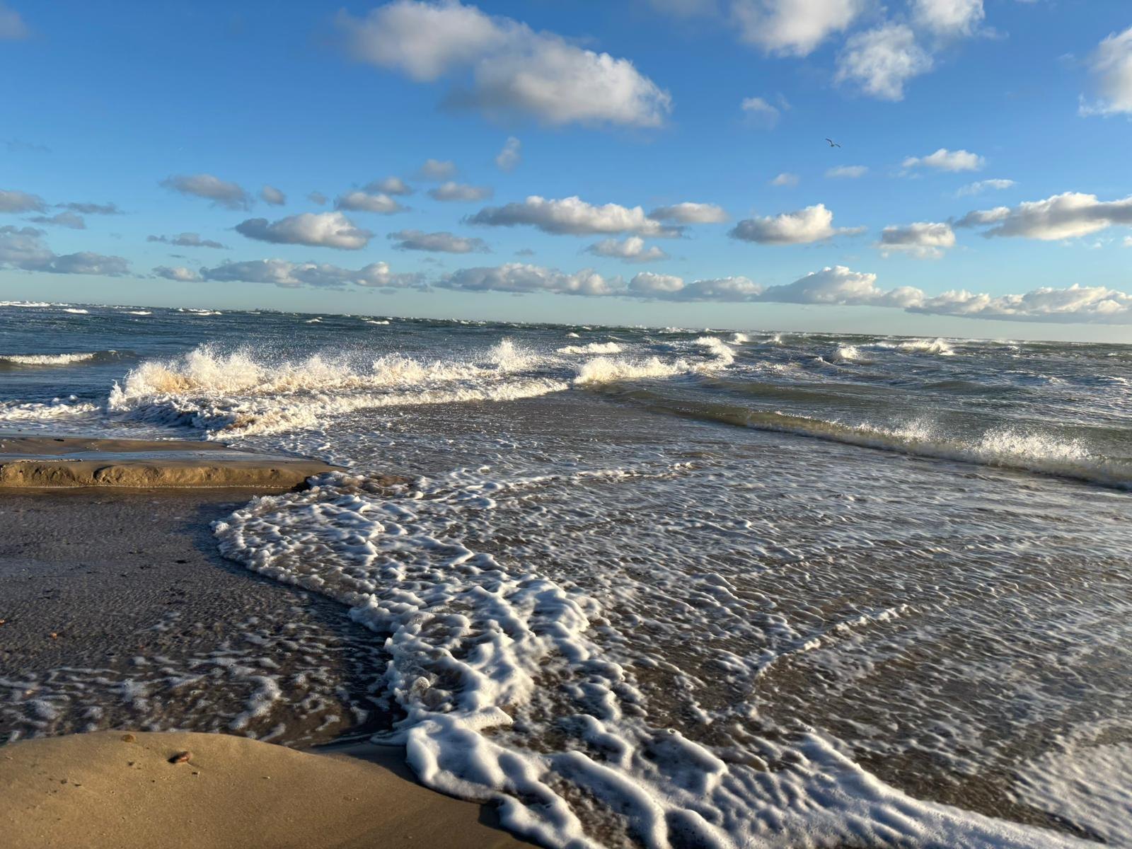 Wellen an der Ostsee